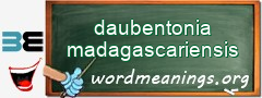 WordMeaning blackboard for daubentonia madagascariensis